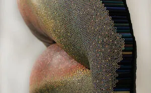 Amazing Lip Sculpture Made From Over 10,000 Colored Pencils