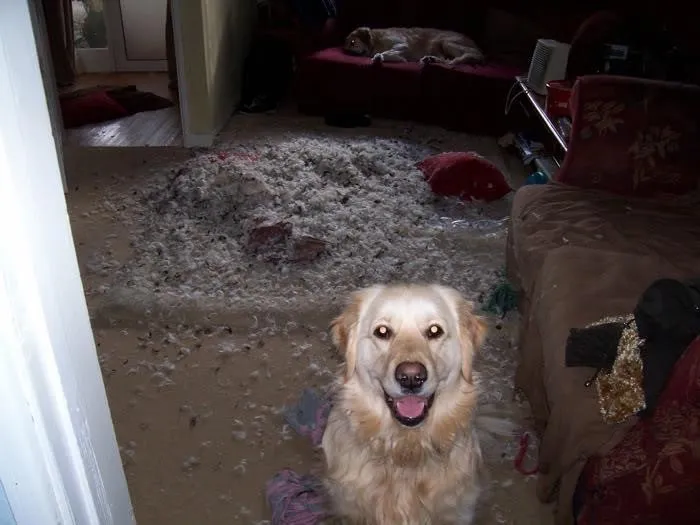Innocence. The Guilty Party Is In The Background
