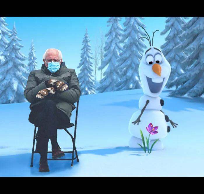 Frozen Bernie