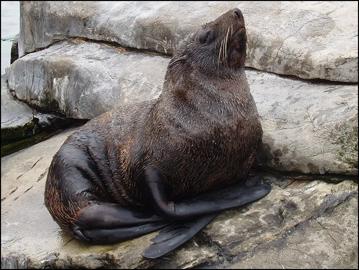 The Paracas National Reserve And Ballestas Islands