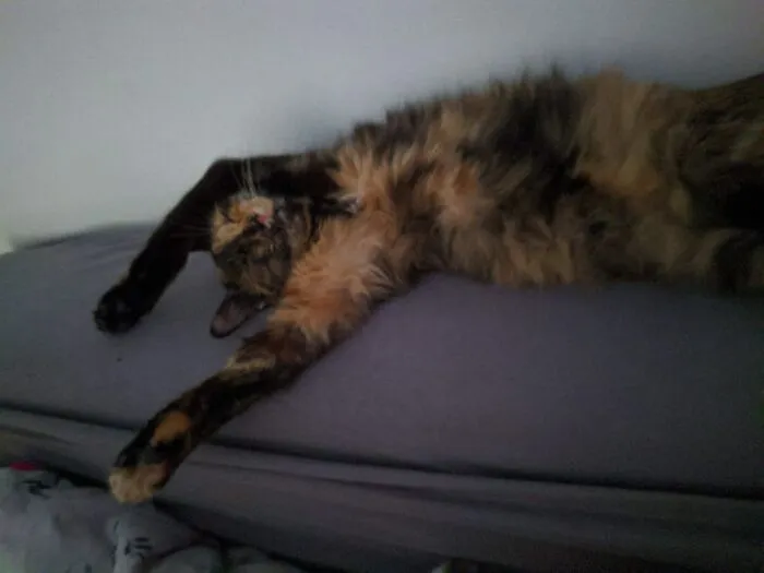 Grisina Sleeping Beauty
