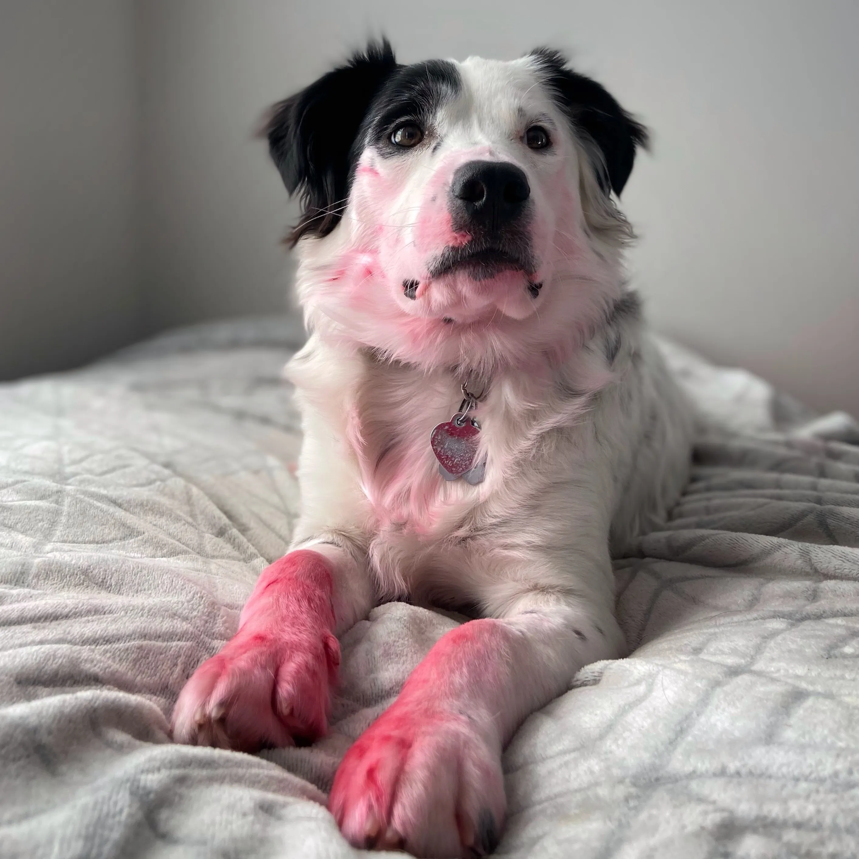 I Won't  Name Name's But Someone Got Into My Lipstick...