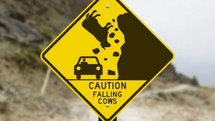 Apparently Cows Are Dangerous Now