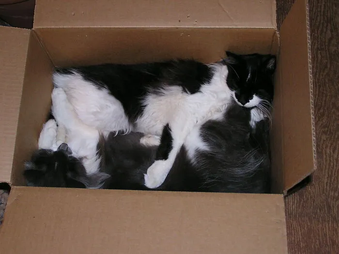 Ready For Shipping