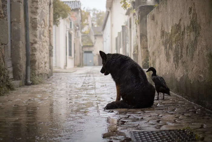 A Rainy Day In An Old City