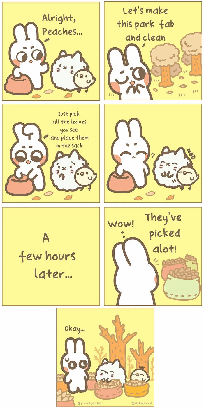 When You Take Orders A Little Too Seriously…