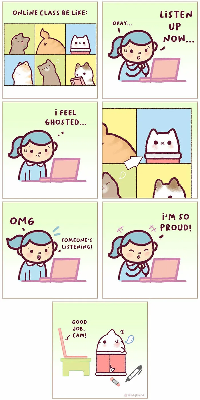 Online Class