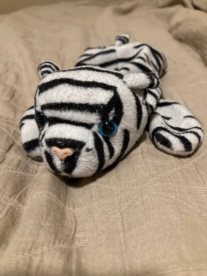 This Is Snowy, Might Not Look As Good As He Did Back Then (My Profile Picture), But I Will Always Love Him