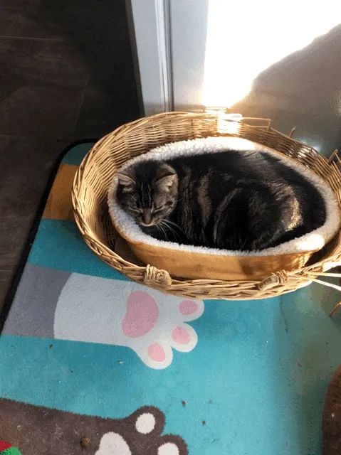 Perfect Fit