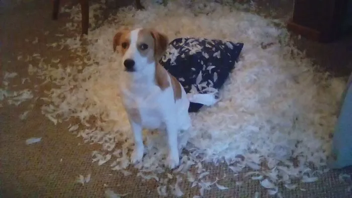 The Only Time I Actually Caught Him In The Act