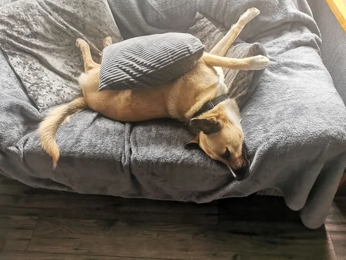 Max Chilling