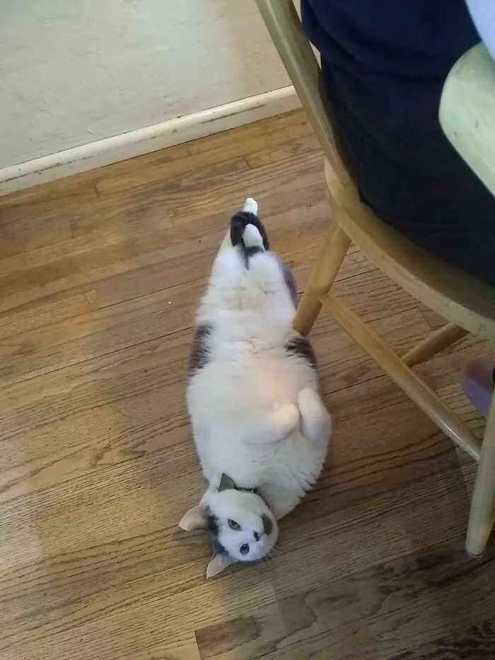 Sadie Hanging Out With The Family