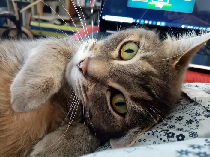 My Girl Lucy