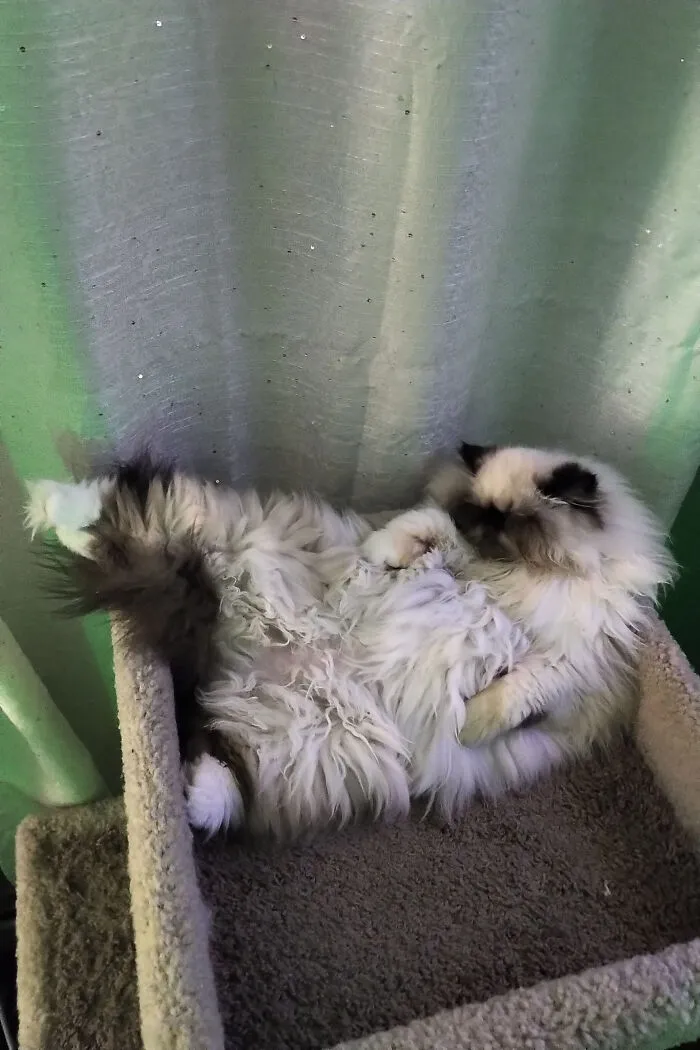 He Sleeps Like A Drunk Old Man!