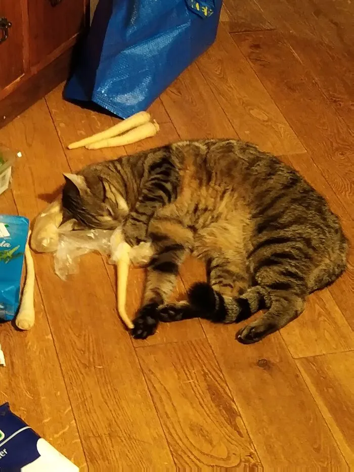 Getting Intoxicated With Parsley