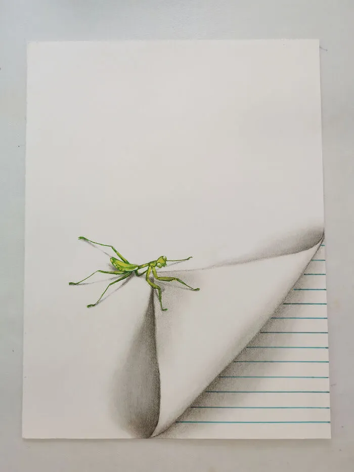 I Draw These Illusions With Cute Little Insects (6 Pics)