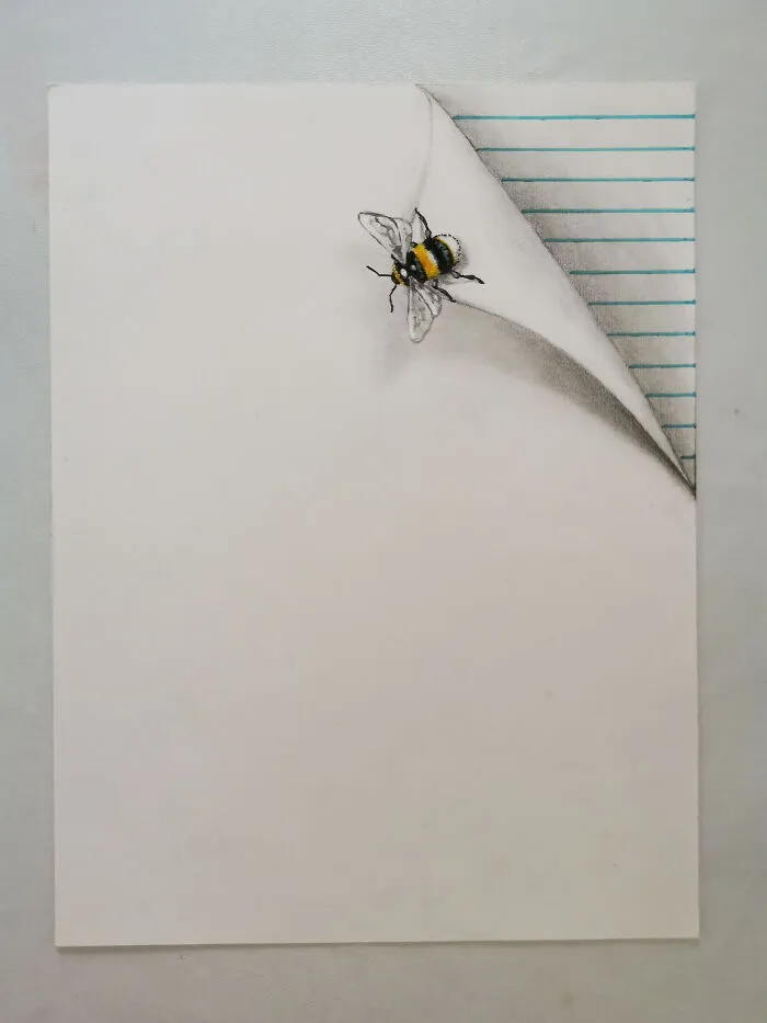 I Draw These Illusions With Cute Little Insects (6 Pics)
