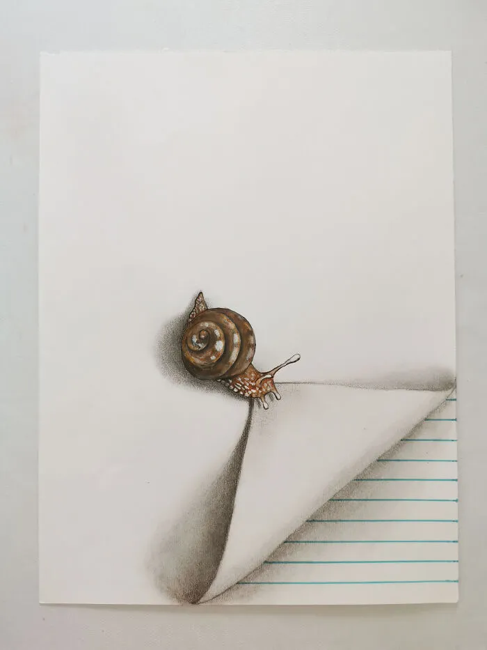 I Draw These Illusions With Cute Little Insects (6 Pics)