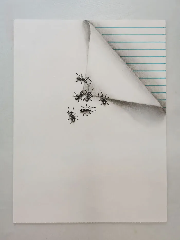 I Draw These Illusions With Cute Little Insects (6 Pics)