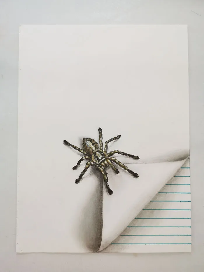 I Draw These Illusions With Cute Little Insects (6 Pics)