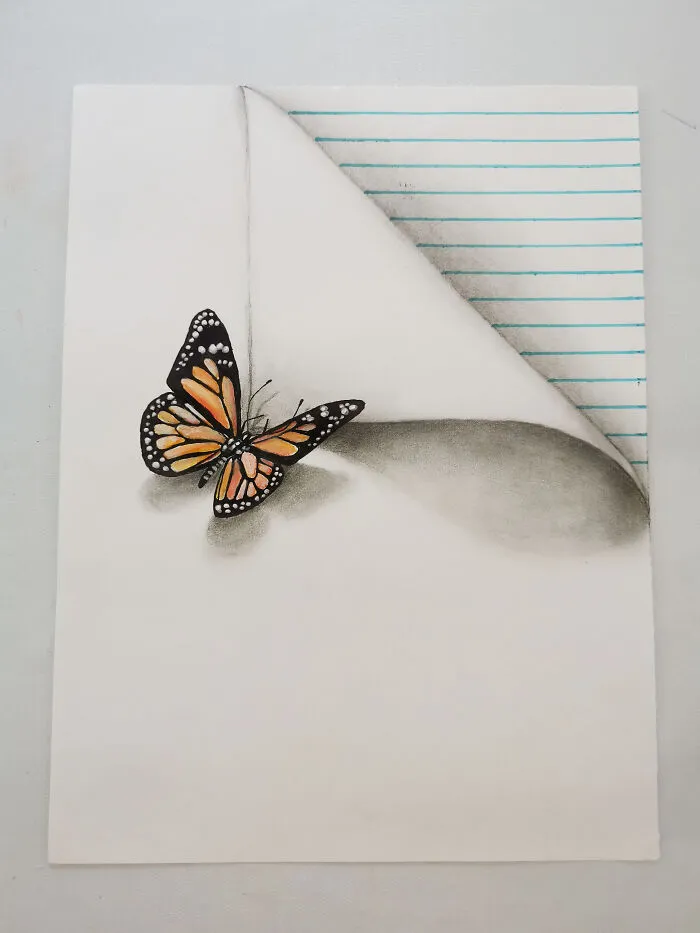 I Draw These Illusions With Cute Little Insects (6 Pics)