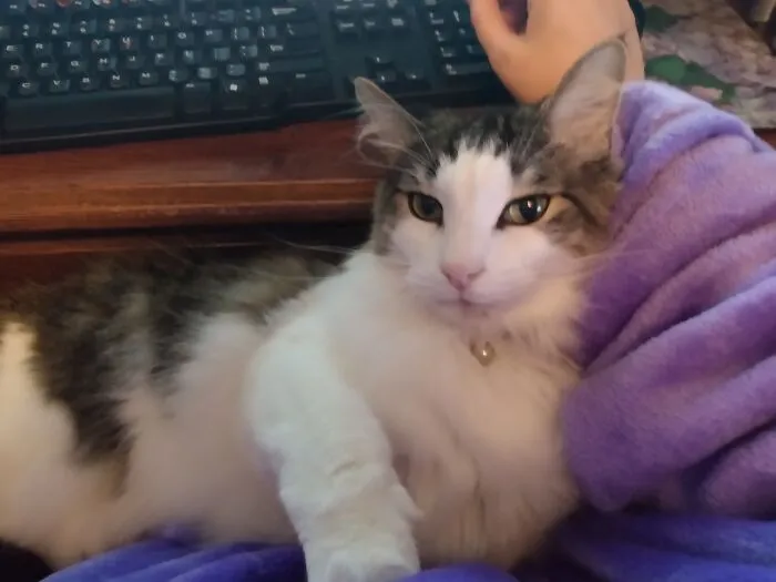 I Am Trying To Work. Stormy Disagrees.