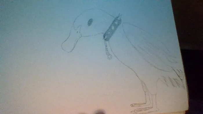 I Dont Have A Pet At The Moment But Here Is Mi Former Pet Pablo