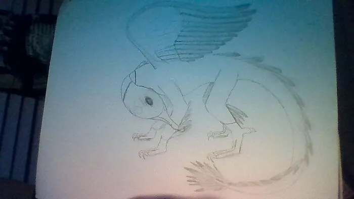 Duck Dragon