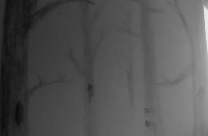 Murder In The Forest