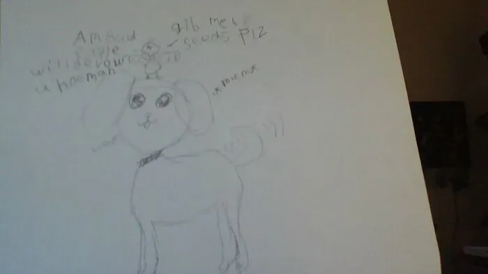Dogs And Birds (Cockatiel Is In The Picture)