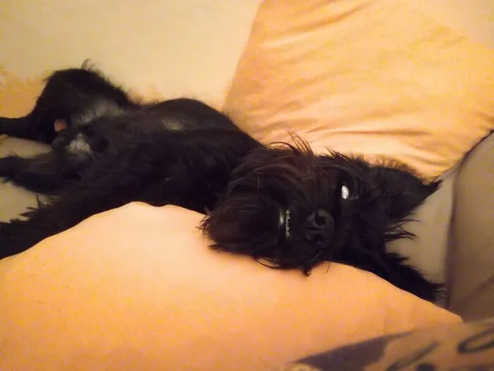 Possesed By Demon...