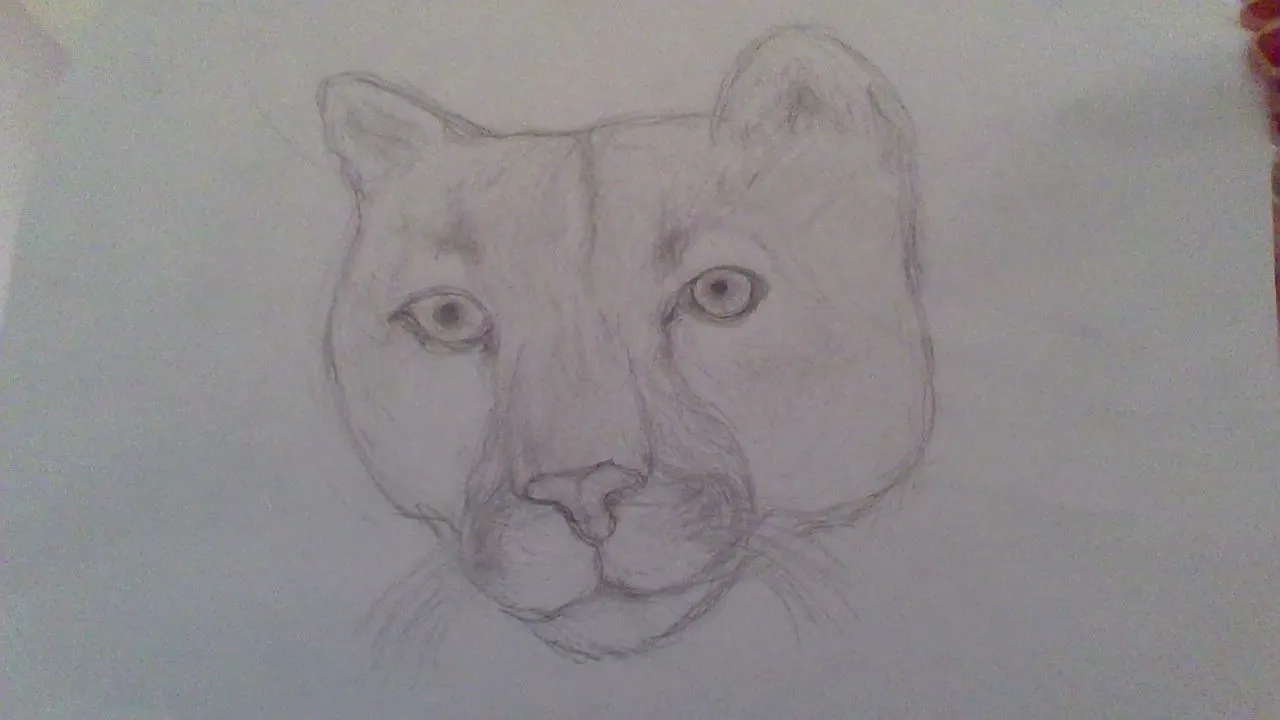 Im 11 And Drew This