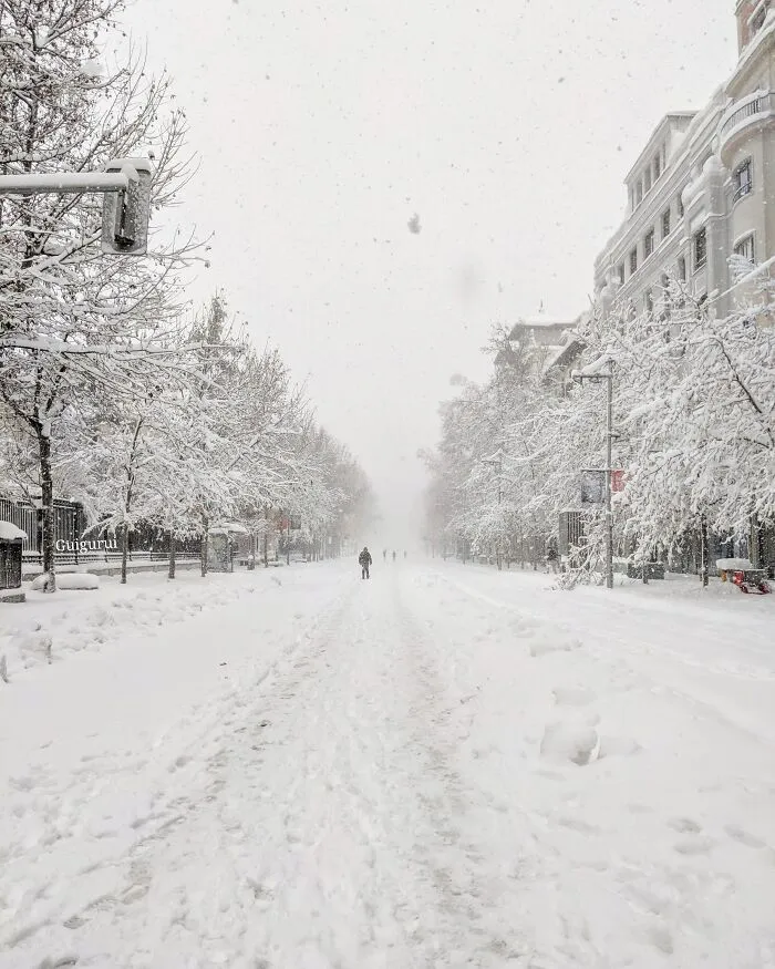 Serrano Street (Equivalent To 5th Avenue)