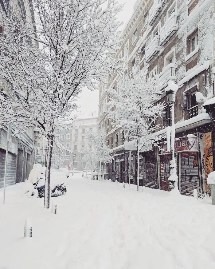 The Largest Snowfall In Half A Century Hit Madrid This Weekend And I Captured This Historic Event (35 Pics)