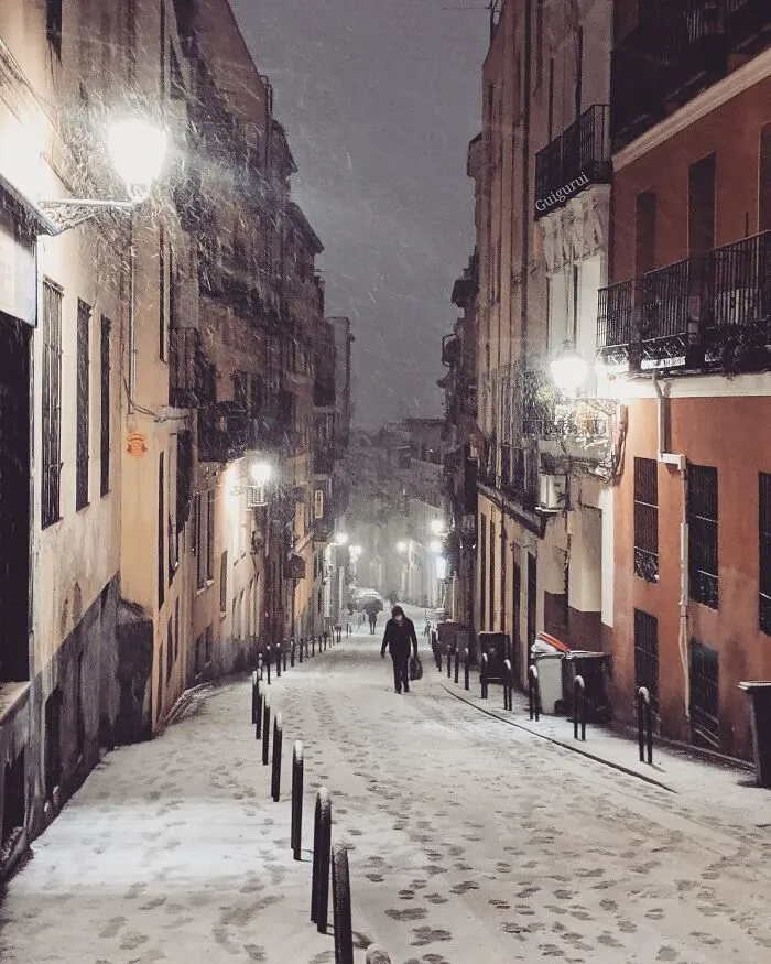 Buenavista Street