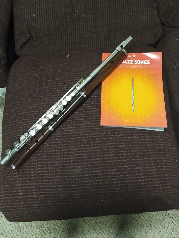 I Have 2 Flutes. The Shiny One Was A Christmas Gift And The Wood One Is An Irish Flute.