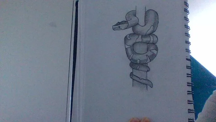 A Snake I Drew A While Ago