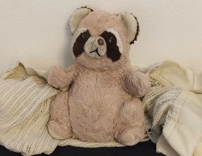 Rocky Raccoon.  Pretty Sure He Was Named For The Bullwinkle Show, But I Learned To Like The Song As Well When I Got Older.