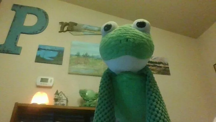 A Scentsy Frog. I Was Obsessed With Frogs. (And Still Am!