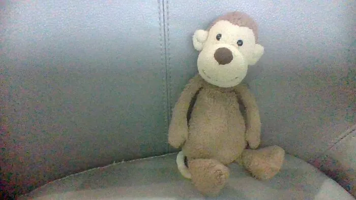 Baby Monkey