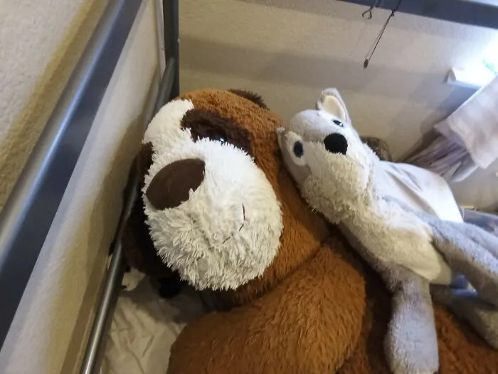 Wolfy(Right) And Jake(Left