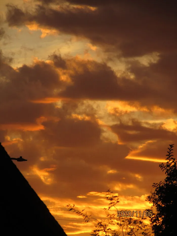 Golden Skies At Noon