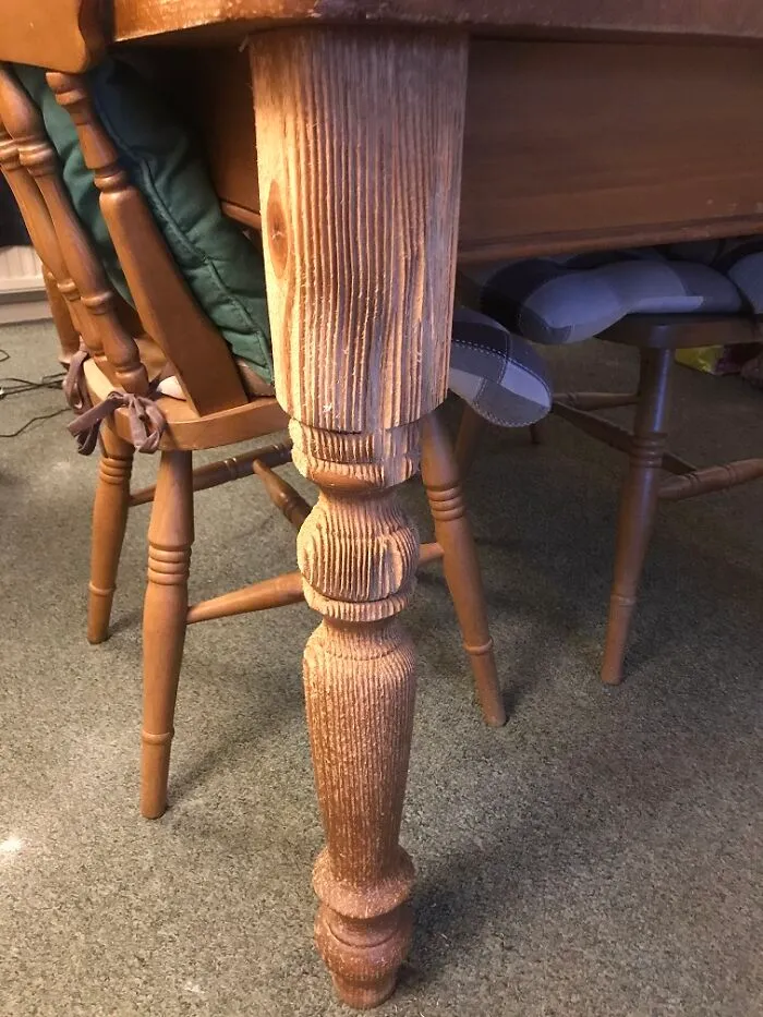 A Good Scratch Post And The Leather Furniture Has Never Felt Safer