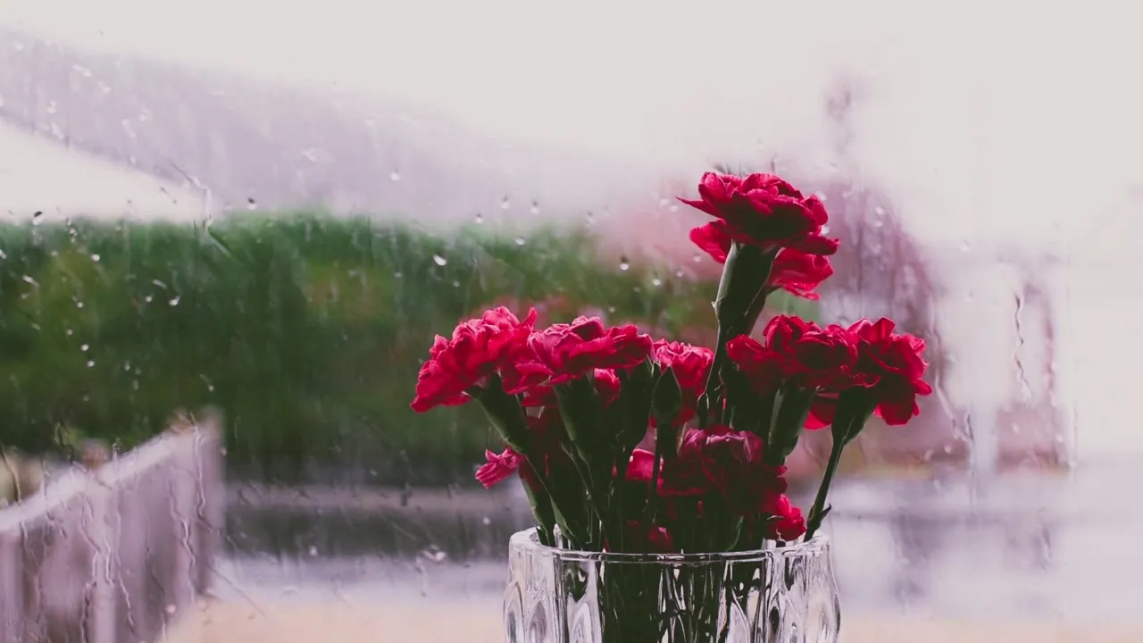 I Made A Video Of Rain Sounds For Sleep Meditation