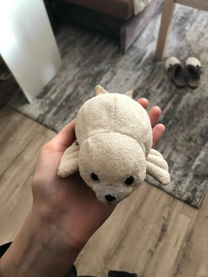 This Is A Little Seal Called Menis
