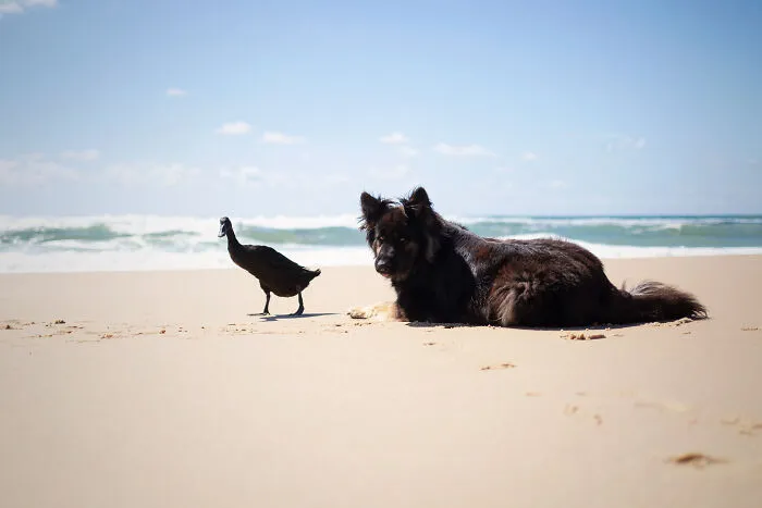 First Time At The Atlantic Ocean