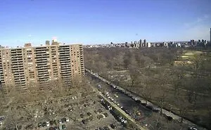 Year Long Time-Lapse Of Central Park