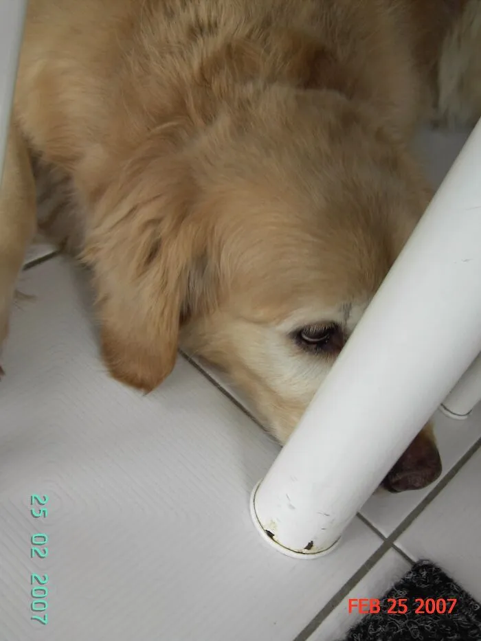 This Is How She Used To Play Hide And Seek Doggy Style.  If I Can't See You, You Can't See Me