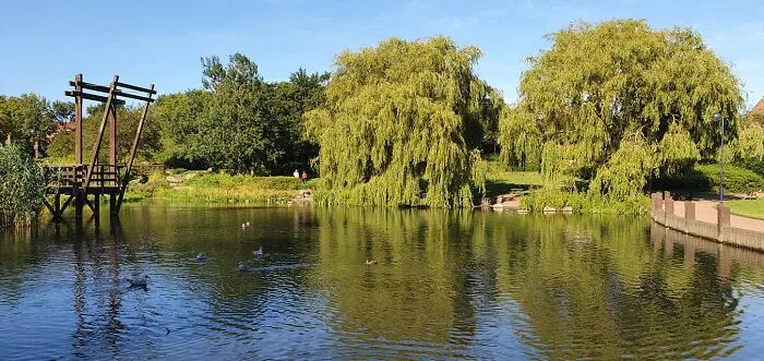 My Local Park