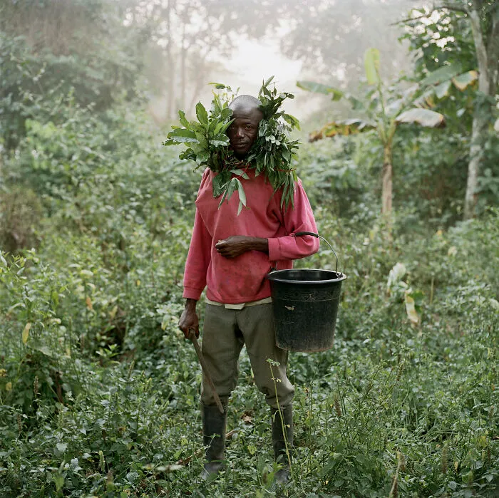 Paul Ankomah, Wild Honey Collector, Techiman District, Ghana, 2005, "Wild Honey Collectors"